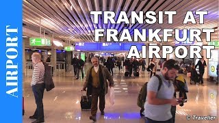 TRANSIT WALK AT FRANKFURT Airport FRA Terminal 1  Connection Flight Transfer Arriving amp Departing [upl. by Meriel]